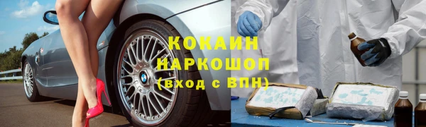 PSILOCYBIN Гусиноозёрск