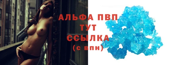 PSILOCYBIN Гусиноозёрск