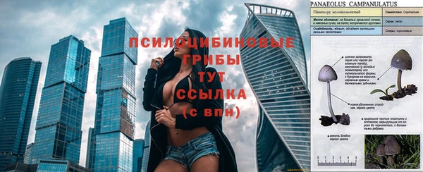 каннабис Гусев