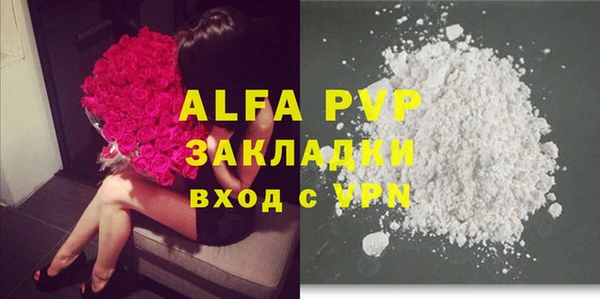 PSILOCYBIN Гусиноозёрск
