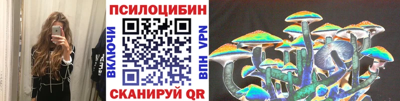 где найти наркотики  omg зеркало  Псилоцибиновые грибы Psilocybine cubensis  Заводоуковск 