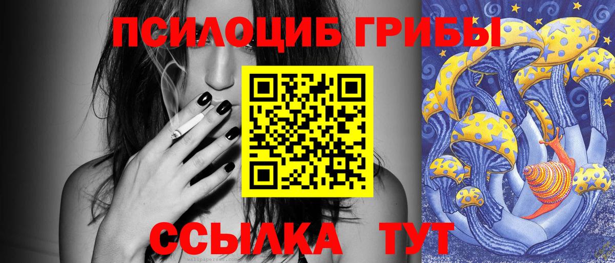Заводоуковск  Псилоцибиновые грибы Psilocybine cubensis  Вход с VPN  Псилоцибиновые грибы мицелий 
